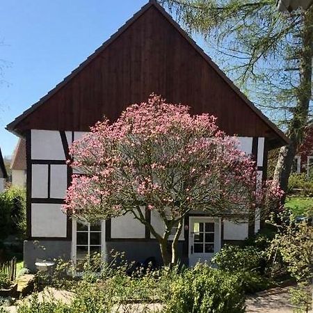 Gemuetliches Ferienhaus Im Extertal/ Lippe Zewnętrze zdjęcie