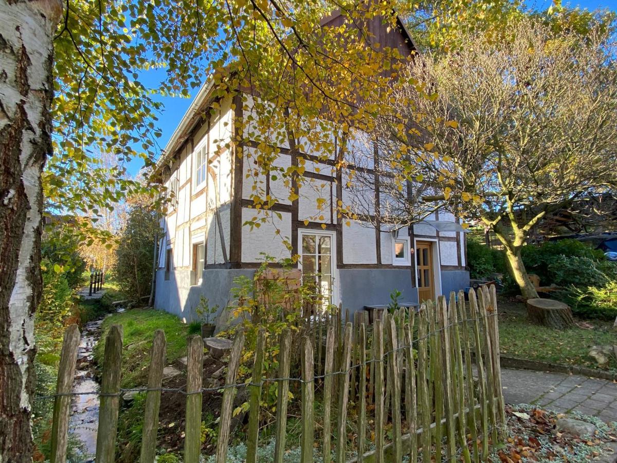 Gemuetliches Ferienhaus Im Extertal/ Lippe Zewnętrze zdjęcie